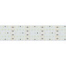 Лента S2-2500 24V White 6000K 52mm (2835, 420 LED/m, LUX) (Arlight, 30 Вт/м, IP20) - Лента S2-2500 24V White 6000K 52mm (2835, 420 LED/m, LUX) (Arlight, 30 Вт/м, IP20)