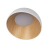 Потолочный светодиодный светильник Loft IT Egg 10197/350 White - Потолочный светодиодный светильник Loft IT Egg 10197/350 White
