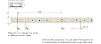  - Лента RTW 2-5000PGS 24V White 2x (5060, 300 LED, LUX) (Arlight, 14.4 Вт/м, IP67)