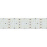 Лента S2-2500 24V White 5500K 52mm (2835, 420 LED/m, LUX) (Arlight, 30 Вт/м, IP20) - Лента S2-2500 24V White 5500K 52mm (2835, 420 LED/m, LUX) (Arlight, 30 Вт/м, IP20)