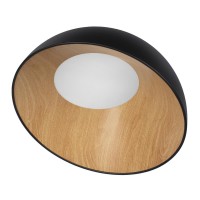  - Потолочный светодиодный светильник Loft IT Egg 10197/500 Black