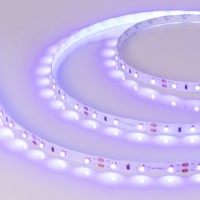  - Лента RT 2-5000 12V UV400 (3528, 300 LED, W) (Arlight, 4.8 Вт/м, IP20)