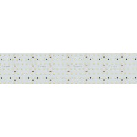  - Лента S2-2500 24V White 6000K 85mm (2835, 560 LED/m, LUX) (Arlight, 40 Вт/м, IP20)