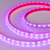  - Лента RTW 2-5000PS-50m 24V RGB 2x (5060, 60 LED/m, LUX) (Arlight, 14.4 Вт/м, IP67)