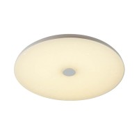  - Потолочный светодиодный светильник Sonex Roki Muzcolor 4629/DL
