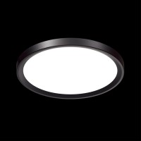  - Настенно-потолочный светодиодный светильник Sonex Tasta 3065/18L