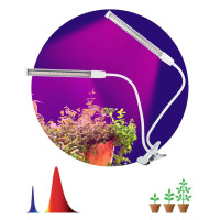  - Настольная лампа ЭРА Crocus Fito-20W-Aled Б0039171