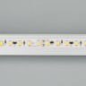 Лента RT-10000 24V Warm3000 2x (3528, 120 LED/m, 10m) (Arlight, 9.6 Вт/м, IP20) - Лента RT-10000 24V Warm3000 2x (3528, 120 LED/m, 10m) (Arlight, 9.6 Вт/м, IP20)