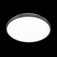  - Настенно-потолочный светильник Sonex Smalli 3012/DL