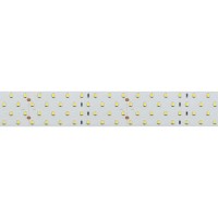  - Лента RT 2-2500 24V Warm3000 4x2 (2835, 700 LED, LUX) (Arlight, 30 Вт/м, IP20)