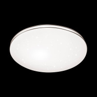 - Настенно-потолочный светодиодный светильник Sonex Leka 2051/CL
