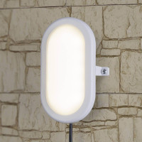  - Пылевлагозащищенный светильник Elektrostandard LTB0102D LED 22 см 12W белый 4690389099113