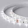 Лента RT 2-5000 24V White6000 (3528, 300 LED, LUX) (Arlight, 4.8 Вт/м, IP20) - Лента RT 2-5000 24V White6000 (3528, 300 LED, LUX) (Arlight, 4.8 Вт/м, IP20)