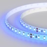 Лента RT 2-5000 24V Blue 2x (3528, 600 LED, LUX) (Arlight, 9.6 Вт/м, IP20) - Лента RT 2-5000 24V Blue 2x (3528, 600 LED, LUX) (Arlight, 9.6 Вт/м, IP20)