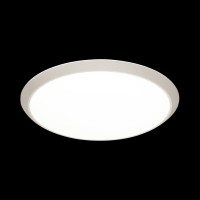 - Настенно-потолочный светодиодный светильник Sonex Yuki 3061/18LD