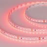 Лента RT 2-5000 24V Red 2х (3528, 600 LED, LUX) (Arlight, 9.6 Вт/м, IP20) - Лента RT 2-5000 24V Red 2х (3528, 600 LED, LUX) (Arlight, 9.6 Вт/м, IP20)