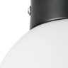 Настенно-потолочный светильник Lightstar Globo 812017 - Настенно-потолочный светильник Lightstar Globo 812017