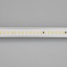 Лента IC 2-50000 48V White6000 12mm (2835, 144 LED/m, LUX) (Arlight, 5.8 Вт/м, IP20) - Лента IC 2-50000 48V White6000 12mm (2835, 144 LED/m, LUX) (Arlight, 5.8 Вт/м, IP20)