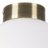 Настенно-потолочный светильник Lightstar Globo 812021 - Настенно-потолочный светильник Lightstar Globo 812021