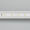 Лента RT 2-5000-50m 24V Warm3000 (3528, 60 LED/m, LUX) (Arlight, 4.8 Вт/м, IP20) - Лента RT 2-5000-50m 24V Warm3000 (3528, 60 LED/m, LUX) (Arlight, 4.8 Вт/м, IP20)