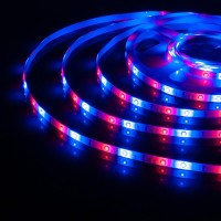  - Светодиодная влагозащищенная лента Elektrostandard 4,8W/m 60LED/m 2835SMD RGB 5M 4690389154928