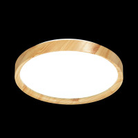  - Настенно-потолочный светильник Sonex Woodi 3019/DL