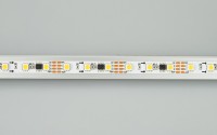  - Лента SPI-5000-AM 12V White6000 (5060, 60 LED/m, x3) (Arlight, Открытый, IP20)