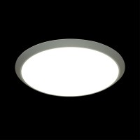  - Настенно-потолочный светодиодный светильник Sonex Yuki 3063/36L