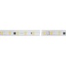 Лента герметичная ARL-PV-B54-15.5mm 230V White6000 (8 W/m, IP65, 5060, 50m) (Arlight, 8 Вт/м, IP65) - Лента герметичная ARL-PV-B54-15.5mm 230V White6000 (8 W/m, IP65, 5060, 50m) (Arlight, 8 Вт/м, IP65)