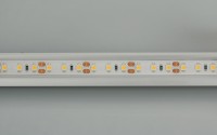  - Лента RTW 2-5000PGS 12V Day 2x (3528, 600 LED, LUX) (Arlight, 9.6 Вт/м, IP67)