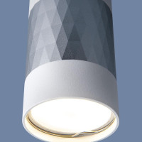  - Потолочный светильник Elektrostandard Mizar DLN110 GU10 белый/серебро 4690389148705