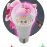 Лампа светодиодная для растений ЭРА E27 14W 1310K прозрачная Fito-14W-RB-E27 Б0050602 - Лампа светодиодная для растений ЭРА E27 14W 1310K прозрачная Fito-14W-RB-E27 Б0050602