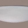 Потолочный светодиодный светильник Crystal Lux Luna PL60-3 - Потолочный светодиодный светильник Crystal Lux Luna PL60-3