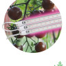 Модульный светодиодный светильник для растений ЭРА Fito-3х10W-Line-RB90 Б0050924 - Модульный светодиодный светильник для растений ЭРА Fito-3х10W-Line-RB90 Б0050924