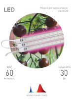  - Модульный светодиодный светильник для растений ЭРА Fito-3х10W-Line-RB90 Б0050924