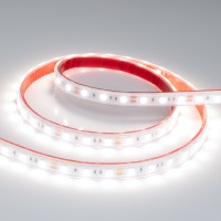  - Лента RTW 2-5000P 12V White6000 2x (5060, 300 LED, LUX) (Arlight, 14.4 Вт/м, IP66)