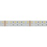 Лента RT 2-5000 24V RGB-White 2x2 (5060, 720 LED, LUX) (Arlight, 32 Вт/м, IP20) - Лента RT 2-5000 24V RGB-White 2x2 (5060, 720 LED, LUX) (Arlight, 32 Вт/м, IP20)