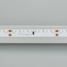 Лента RS 2-5000 24V White6000 2x (3014, 120 LED/m, LUX) (Arlight, 9.6 Вт/м, IP20) - Лента RS 2-5000 24V White6000 2x (3014, 120 LED/m, LUX) (Arlight, 9.6 Вт/м, IP20)