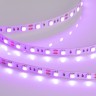 Лента RT 2-5000 12V Pink 2X (5060, 300 LED, LUX) (Arlight, 14.4 Вт/м, IP20) - Лента RT 2-5000 12V Pink 2X (5060, 300 LED, LUX) (Arlight, 14.4 Вт/м, IP20)