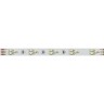 Лента RT 2-5000 24V White-TRIX 2x (3528, 450 LED, LUX) (Arlight, 7.6 Вт/м, IP20) - Лента RT 2-5000 24V White-TRIX 2x (3528, 450 LED, LUX) (Arlight, 7.6 Вт/м, IP20)