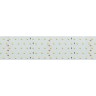 Лента RT 2-2500 24V White6000 5x2 (2835, 875 LED, LUX) (Arlight, 36 Вт/м, IP20) - Лента RT 2-2500 24V White6000 5x2 (2835, 875 LED, LUX) (Arlight, 36 Вт/м, IP20)