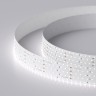 Лента RT 2-2500 24V White6000 5x2 (2835, 875 LED, LUX) (Arlight, 36 Вт/м, IP20) - Лента RT 2-2500 24V White6000 5x2 (2835, 875 LED, LUX) (Arlight, 36 Вт/м, IP20)