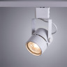 Потолочный светильник Arte Lamp A1311PL-1WH - Потолочный светильник Arte Lamp A1311PL-1WH