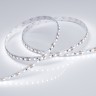 Лента RT 2-5000 12V White6000 2x (3528, 600 LED, LUX) (Arlight, 9.6 Вт/м, IP20) - Лента RT 2-5000 12V White6000 2x (3528, 600 LED, LUX) (Arlight, 9.6 Вт/м, IP20)