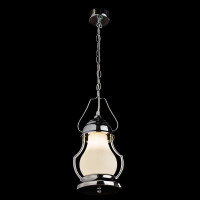  - Подвесной светильник Arte Lamp 15 A1502SP-1CC