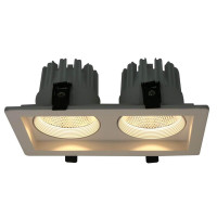  - Встраиваемый светодиодный светильник Arte Lamp Privato A7007PL-2WH