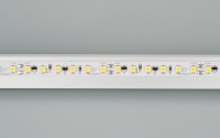  - Лента RT-10000 24V White5500 2x (3528, 120 LED/m, 10m) (Arlight, 9.6 Вт/м, IP20)