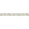 Лента S2-2500 24V White 6000K 15mm (2835, 280 LED/m, LUX) (Arlight, 20 Вт/м, IP20) - Лента S2-2500 24V White 6000K 15mm (2835, 280 LED/m, LUX) (Arlight, 20 Вт/м, IP20)