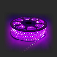  - Светодиодная влагозащищенная лента Apeyron 12W/m 60LED/m 5050SMD разноцветная 25M 10-50