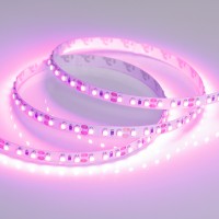  - Лента RT-A120-8mm 12V Pink (9.6 W/m, IP20, 2835, 5m) (Arlight, Открытый)